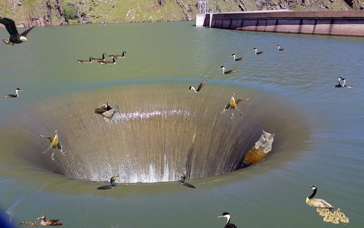 Glory Hole birds satire edited-2