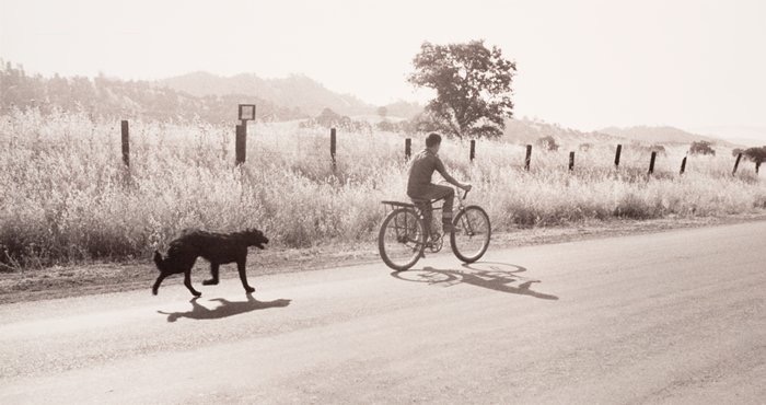Larry Gardner 1956 Pirkle Jones