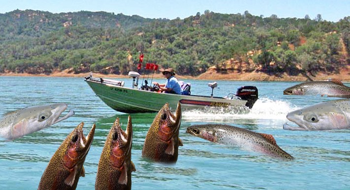 Men boat fish attack