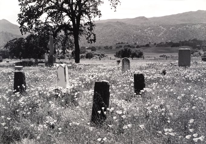 Monticello Cemetery Flowers