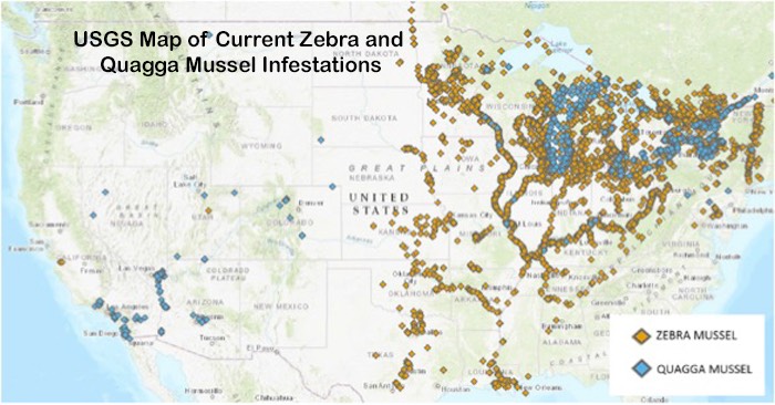 mussel map