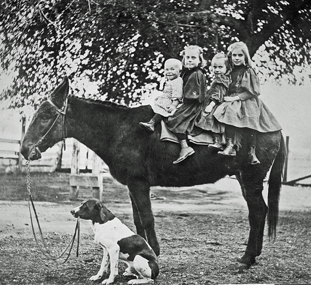 Monticello Town History16.jpg